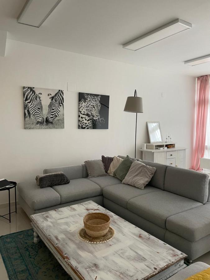 Stadtsuite Mit Sauna In Wiener Neustadt 135 M2 Exterior foto